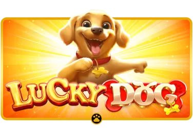 apk 100 Live Casino dealer streaming blackjack on a mobile screen